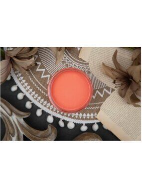 New Sealed Flamingo Dixie Belle Chalk Mineral Paint 8oz